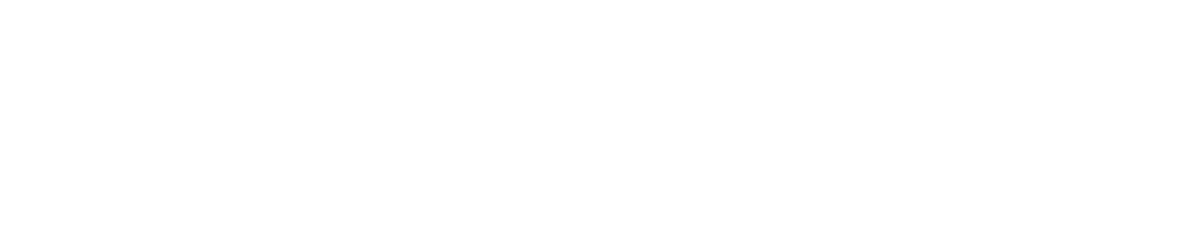 Promosvert